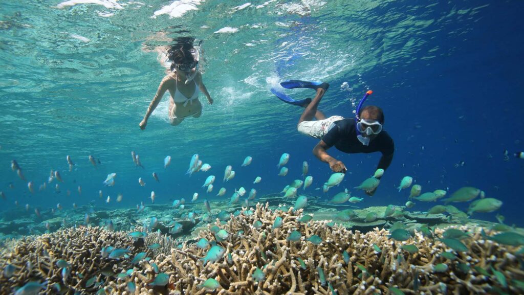 Факты о Мальдивах: Особенности туристического отдыха